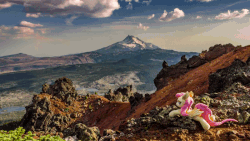 Size: 800x450 | Tagged: safe, artist:natureshy, artist:p0w3rporco, edit, fluttershy, bat pony, pony, g4, animated, bat ponified, caption, cloud, equestria: into the wild, flutterbat, gif, irl, meme, mountain, photo, plushie, ponies around the world, race swap, scenery, solo, time-lapse