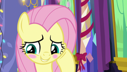 Size: 1280x720 | Tagged: safe, screencap, fluttershy, pegasus, pony, g4, my little pony best gift ever, blushing, cute, daaaaaaaaaaaw, female, mare, raised hoof, shyabetes, solo