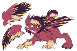 Size: 1280x853 | Tagged: safe, artist:drizziedoodles, oc, oc:oxide, hippogriff, claws, gritted teeth, hippogriff oc, paws, reference, sharp teeth, simple background, teeth, white background, wings, yellow eyes