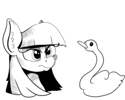 Size: 3401x2718 | Tagged: safe, artist:paskanaakka, derpibooru exclusive, maud pie, swan, g4, black and white, bust, cheek fluff, ear fluff, grayscale, high res, monochrome, portrait, simple background, white background