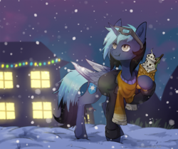 Size: 2100x1758 | Tagged: safe, artist:lonerdemiurge_nail, oc, oc only, oc:frostburn, alicorn, pony, alicorn oc, christmas, christmas lights, clothes, digital art, food, glasses, holiday, house, male, scarf, signature, snow, solo, stallion, sundae, winter, ych result