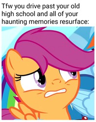 Size: 1080x1366 | Tagged: safe, edit, edited screencap, editor:apex soundwave, screencap, scootaloo, pony, g4, parental glideance, caption, cringing, female, filly, haunting, image macro, solo focus, text, uncomfortable