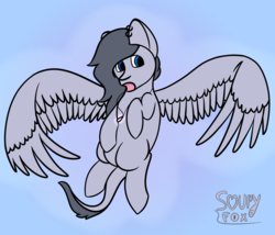 Size: 3500x3000 | Tagged: safe, artist:soupyfox, oc, oc only, pegasus, pony, blue background, blue eyes, flying, high res, jewelry, necklace, simple background, solo