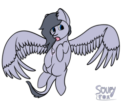 Size: 3500x3000 | Tagged: safe, artist:soupyfox, oc, oc only, pegasus, pony, blue eyes, flying, high res, jewelry, necklace, solo, transparent background