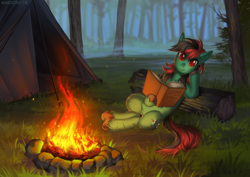 Size: 1273x900 | Tagged: safe, artist:margony, oc, oc only, oc:forest farseer, earth pony, pony, book, campfire, female, fog, forest, grass, looking at you, mare, nature, resting, scenery, sitting, solo, tent, tree