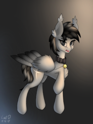 Size: 2028x2700 | Tagged: safe, artist:catdclassic, oc, oc only, oc:kainy, bat pony, hybrid, pegasus, pony, bell, bell collar, chest fluff, collar, fangs, fear, high res, open mouth, raised hoof, screaming, signature, solo