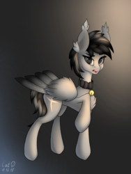 Size: 2028x2700 | Tagged: safe, artist:catd, artist:catdclassic, oc, oc only, oc:kainy, bat pony, hybrid, pegasus, pony, bell, bell collar, chest fluff, collar, fangs, fear, high res, open mouth, raised hoof, screaming, signature, solo