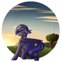 Size: 1000x1000 | Tagged: safe, artist:ak4neh, oc, oc only, oc:lightning flare, pegasus, pony, angry, blushing, butt, ears back, jewelry, looking at you, male, necklace, plot, raised hoof, raised leg, raised tail, solo, stallion, tail, wings