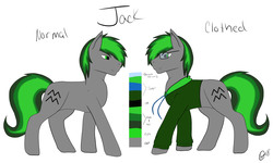 Size: 5000x3000 | Tagged: safe, artist:kensynvalkry, oc, oc:jackorace, earth pony, pony, clothes, glasses, male, multicolored mane, reference sheet, stallion, sweater