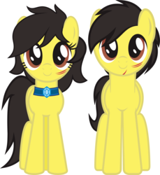 Size: 4378x4777 | Tagged: safe, artist:cakonde, oc, oc:artpen, oc:penny-pen, earth pony, pony, 2019 community collab, derpibooru community collaboration, absurd resolution, female, jewelry, looking at you, male, mare, messy mane, necklace, simple background, smiling, smiling at you, stallion, standing, transparent background