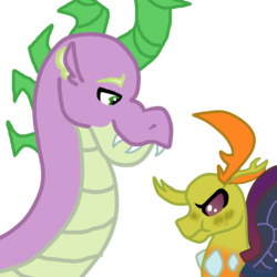 Size: 1800x1800 | Tagged: safe, artist:glamgoria-morose, spike, thorax, changedling, changeling, dragon, g4, :t, gay, king thorax, male, older, older spike, ship:thoraxspike, shipping