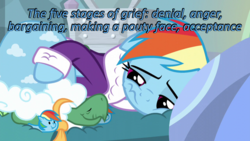 Size: 640x360 | Tagged: safe, edit, edited screencap, screencap, rainbow dash, tank, g4, tanks for the memories, bathrobe, caption, cards against humanity, clothes, grieving, image macro, rainbow dash slippers, robe, sad, text