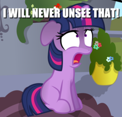 Size: 442x424 | Tagged: safe, twilight sparkle, g4, cannot unsee, caption, frozen in fear, horrified, i need healing, image macro, mortified, reaction image, text