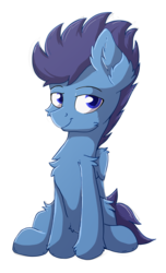 Size: 1219x2000 | Tagged: safe, artist:nighty, derpibooru exclusive, oc, oc only, pegasus, pony, 2019 community collab, derpibooru community collaboration, chest fluff, colored pupils, ear fluff, male, simple background, sitting, smiling, solo, transparent background, wings