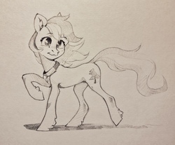 Size: 2560x2116 | Tagged: safe, artist:dearmary, roseluck, earth pony, pony, g4, collar, commissioner:doom9454, cute, ear fluff, female, grayscale, high res, hoof fluff, mare, monochrome, pencil drawing, pet tag, pony pet, rosabetes, rosepet, simple background, solo, traditional art, unshorn fetlocks, white background, windswept mane