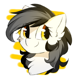 Size: 1200x1200 | Tagged: safe, artist:morningbullet, oc, oc only, oc:noot, pony, female, mare, simple background, solo, transparent background