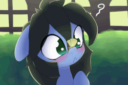 Size: 720x480 | Tagged: dead source, safe, artist:an-m, oc, oc only, oc:reflect decrypt, earth pony, insect, moth, pony, :<, animated, blinking, blushing, confused, cross-eyed, cute, eye shimmer, female, flapping, floppy ears, frown, gif, head tilt, insect on nose, looking at something, loop, mare, pointing, pony oc, question mark, raised hoof, sweet dreams fuel
