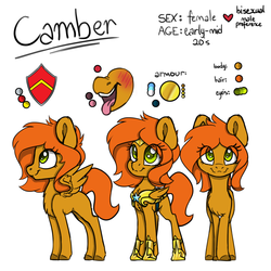 Size: 1280x1280 | Tagged: safe, artist:spoopygander, oc, oc:camber, pegasus, pony, armor, female, guardsmare, mare, reference sheet, royal guard