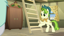 Size: 1280x720 | Tagged: safe, screencap, pistachio, rarity, earth pony, pony, best gift ever, g4, hat, ladder, male, stallion