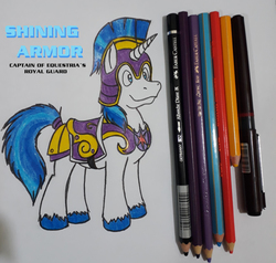 Size: 1300x1236 | Tagged: safe, artist:dingopatagonico, shining armor, pony, unicorn, g4, armor, caption, colored pencil drawing, male, pen, pencil, photo, solo, stallion, traditional art