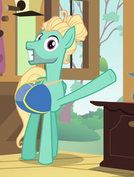 Size: 410x540 | Tagged: safe, screencap, zephyr breeze, pegasus, pony, flutter brutter, g4, cropped, fluttershy's cottage (interior), hair bun, looking at you, male, saddle bag, smiling, solo
