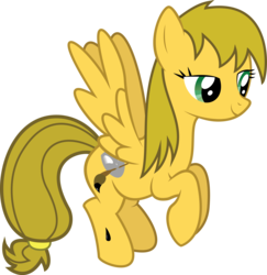 Size: 4549x4684 | Tagged: safe, artist:fallingcomets, oc, oc only, pegasus, pony, absurd resolution, female, mare, simple background, solo, transparent background, vector