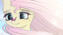 Size: 4800x2700 | Tagged: safe, artist:maneingreen, fluttershy, butterfly, pegasus, pony, g4, bust, butterfly on nose, cheek fluff, female, insect on nose, looking at something, mare, portrait, solo, stray strand, windswept mane