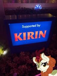 Size: 1536x2048 | Tagged: safe, artist:jhayarr23, edit, editor:leonidus, vector edit, autumn blaze, kirin, pony, g4, sounds of silence, irl, photo, ponies in real life, sign, smiling, smirk, text, vector