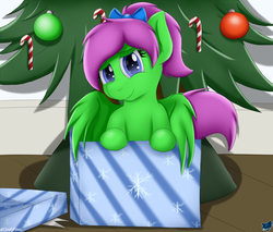 Size: 2000x1700 | Tagged: safe, artist:cloufy, oc, oc only, oc:zippy sparkz, pegasus, pony, christmas, christmas tree, female, holiday, mare, ponytail, present, solo, tree, ych result