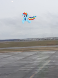 Size: 1277x1703 | Tagged: safe, artist:joeydr, photographer:joeydr, rainbow dash, pegasus, pony, g4, female, irl, photo