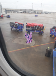 Size: 1277x1703 | Tagged: safe, editor:joeydr, photographer:joeydr, twilight sparkle, alicorn, pony, g4, airport, female, irl, looking at you, luggage, mare, photo, ponies in real life, smiling, solo, spread wings, twilight sparkle (alicorn), wings