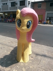 Size: 3264x2448 | Tagged: safe, fluttershy, pegasus, pony, g4, c:, cute, ecuador, female, high res, irl, looking at you, mare, photo, piñata, smiling, solo, this will end in tears