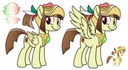 Size: 2048x1126 | Tagged: safe, oc, oc only, oc:tailcoatl, pegasus, pony, aztec, mexico, solo, wings