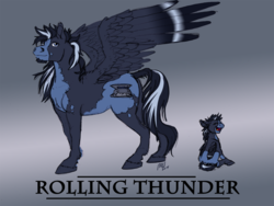 Size: 1280x965 | Tagged: safe, artist:carnivorouscaribou, oc, oc only, oc:rolling thunder, pegasus, pony, colt, male, offspring, parent:princess cadance, parent:shining armor, parents:shiningcadance, solo, stallion