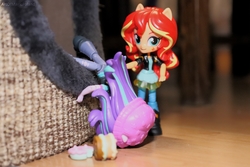 Size: 6000x4000 | Tagged: safe, artist:artofmagicpoland, starlight glimmer, sunset shimmer, equestria girls, g4, birthday art, cake, cute, doll, equestria girls minis, female, food, irl, photo, shimmerbetes, toy, trying to wake