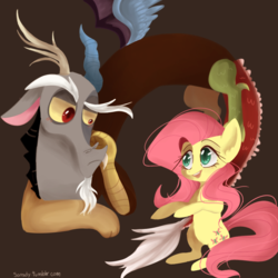 Size: 900x900 | Tagged: safe, artist:sansdy, discord, fluttershy, draconequus, pegasus, pony, g4, bipedal, blushing, duo, female, looking at each other, male, mare, simple background, talking
