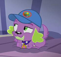 Size: 621x584 | Tagged: safe, screencap, spike, spike the regular dog, dog, equestria girls, g4, legend of everfree - bloopers, my little pony equestria girls: legend of everfree, camp everfree logo, cap, collar, cropped, hat, paws