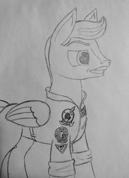 Size: 2182x2991 | Tagged: safe, artist:whiskey, oc, oc only, oc:valiant kilfeather, pegasus, pony, fanfic:everyday life with guardsmares, clothes, everyday life with guardsmares, high res, male, royal guard, solo, stallion, top gun, traditional art