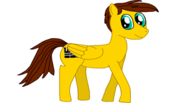 Size: 1366x800 | Tagged: safe, artist:sb1991, derpibooru exclusive, oc, oc only, oc:film reel, pegasus, pony, 2019 community collab, derpibooru community collaboration, looking at you, simple background, solo, standing, transparent background