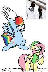 Size: 800x1206 | Tagged: safe, artist:sandwichbuns, fluttershy, rainbow dash, pony, g4, clothes, meme, ponified meme, scarf, snow, snowball, this will end in pain, this will end in tears