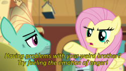 Size: 640x360 | Tagged: safe, edit, edited screencap, screencap, fluttershy, zephyr breeze, flutter brutter, g4, angry, caption, cards against humanity, duo, fluttershy's cottage, image macro, text