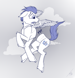 Size: 2245x2320 | Tagged: safe, artist:uliovka, soarin', pegasus, pony, g4, half, high res, male, modular, solo, stallion, wat