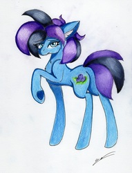 Size: 2219x2905 | Tagged: safe, artist:luxiwind, oc, oc only, oc:berry bliss, earth pony, pony, blue coat, blue eyes, cutie mark, ear fluff, female, frog (hoof), high res, mare, raised hoof, solo, traditional art, two toned mane, two toned tail, underhoof