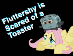 Size: 720x551 | Tagged: safe, fluttershy, pony, g4, brave little toaster, crossover, toaster (brave little toaster)