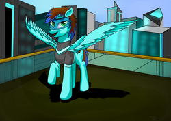 Size: 14031x9921 | Tagged: safe, artist:samdrmlp, oc, oc:crizstorm, pegasus, pony, absurd resolution, black background, blue, building, city, colored, day, green eyes, rooftop, simple background, smiling