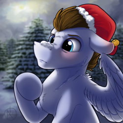 Size: 2000x2000 | Tagged: safe, artist:klarapl, oc, oc only, pegasus, pony, christmas, commission, hat, high res, holiday, male, santa hat, snow, solo, stallion