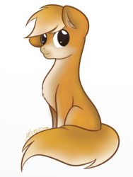 Size: 1125x1500 | Tagged: safe, artist:mimicproductions, edit, oc, oc only, oc:inushiba, dog pony, earth pony, pony, shiba inu, chest fluff, cute, ear fluff, floppy ears, fluffy, looking at you, male, simple background, sitting, smiling, solo, stallion, tail fluff, white background