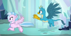 Size: 321x162 | Tagged: safe, screencap, gallus, silverstream, classical hippogriff, griffon, hippogriff, g4, what lies beneath, duo, female, flying, male, spread wings, wings