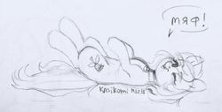 Size: 3640x1845 | Tagged: safe, artist:kasikomi, roseluck, earth pony, pony, g4, behaving like a cat, collar, commissioner:doom9454, cute, cyrillic, female, lying, lying down, mare, meow, monochrome, on back, one eye closed, open mouth, pet tag, pony pet, rosepet, russian, sketch, smiling, traditional art, translated in the description