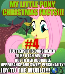 Size: 496x563 | Tagged: safe, fluttershy, g4, caption, christmas, christmas tree, earth, emoji, excessive exclamation marks, fan favorite, fun fact, holiday, image macro, my little pony christmas facts, text, tree